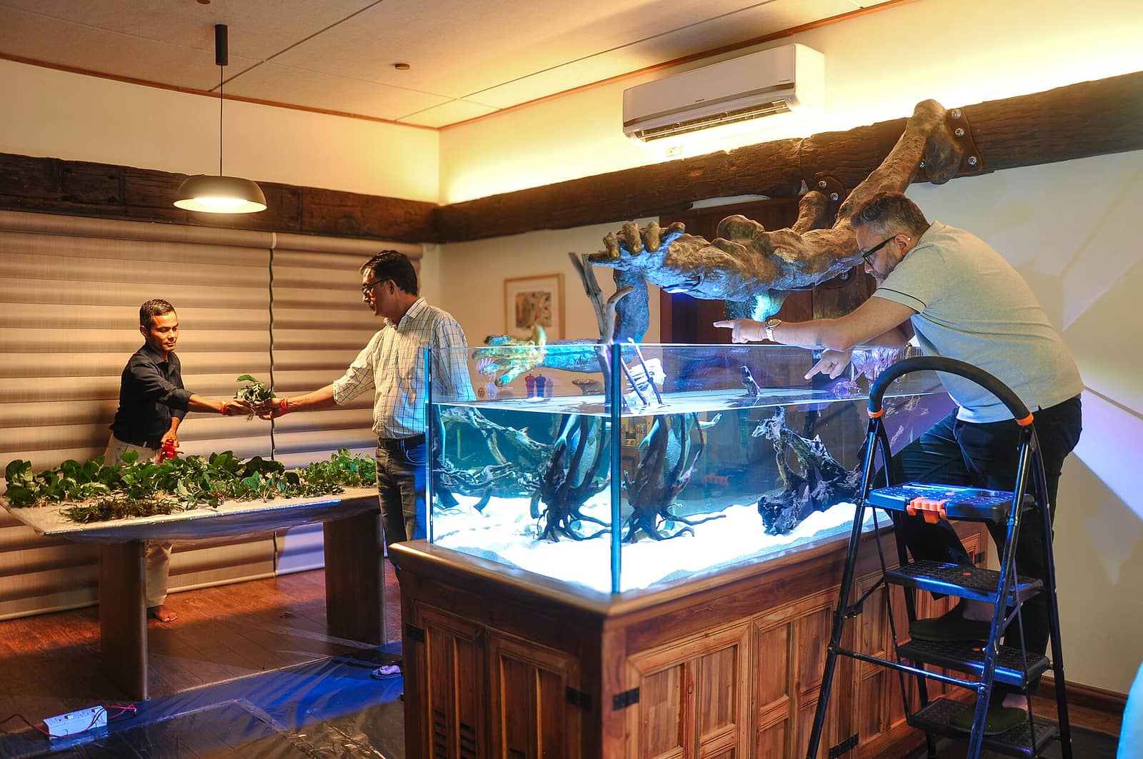 A planted aquascape during hardscape placement — gear decisions in this section build toward this kind of intentional tank.