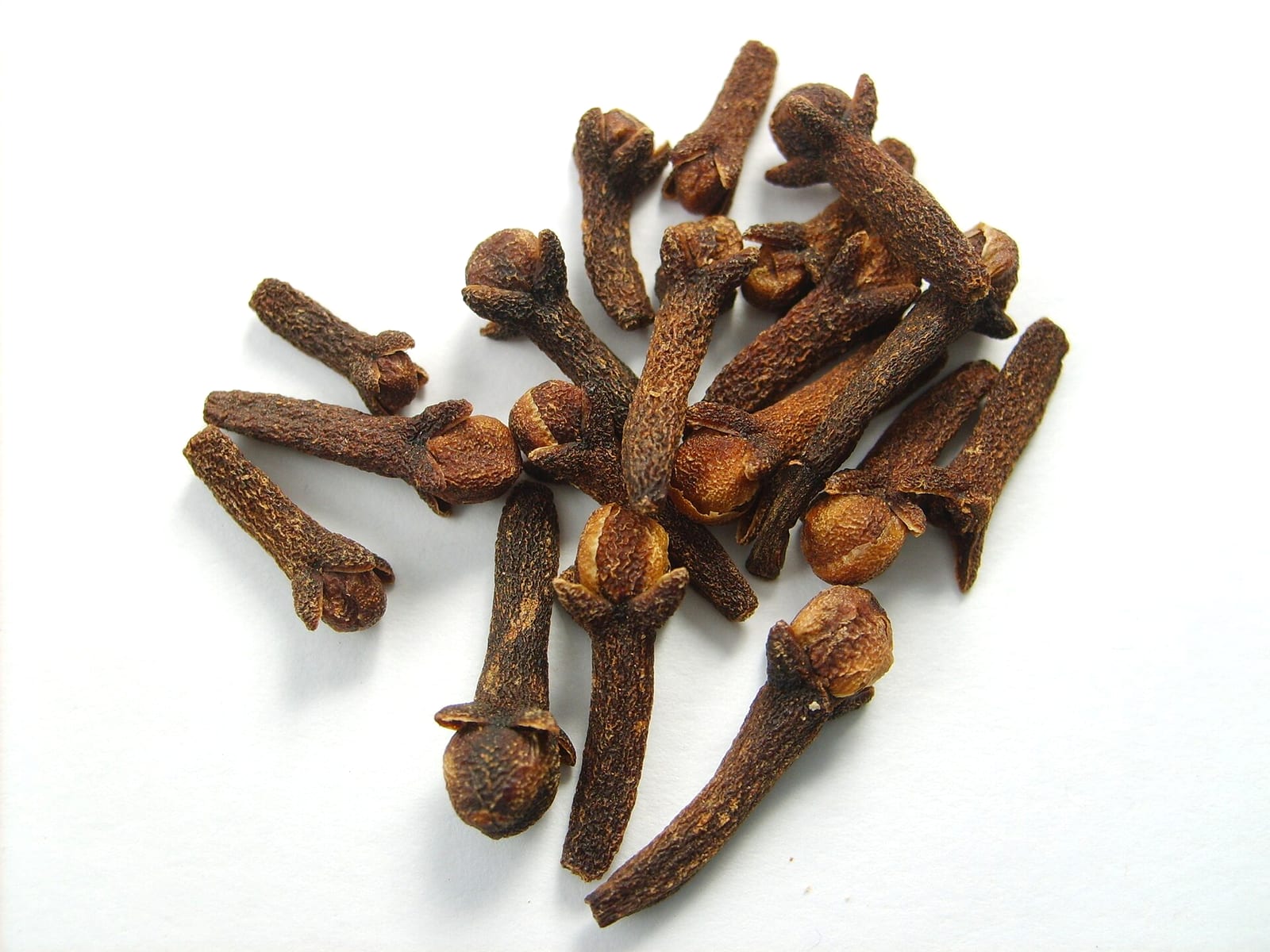 A small pile of dried clove buds (Syzygium aromaticum) - the source of the eugenol used in fishkeeper-grade clove oil.