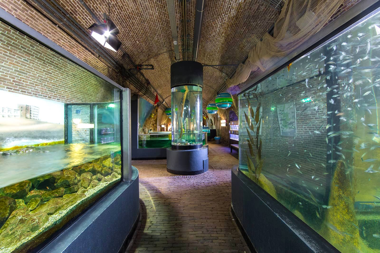 A clean, well-stocked aquarium that would handle a 7-day owner absence without intervention — the goal of vacation prep.