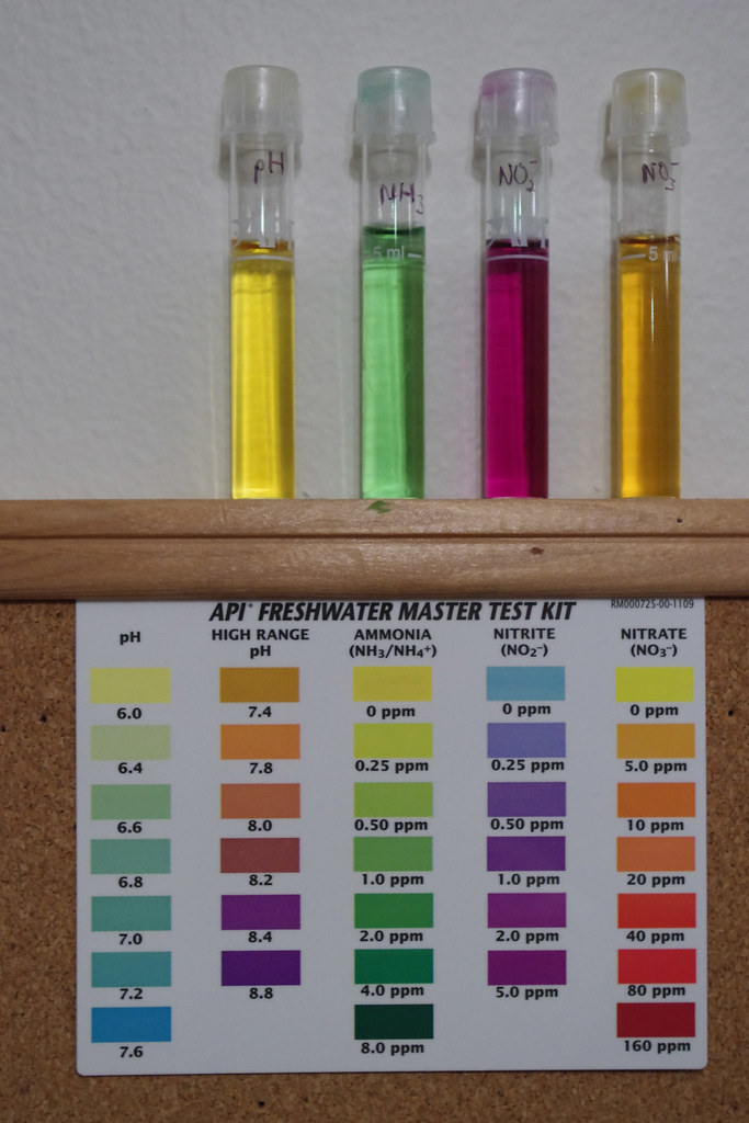 Four aquarium test tubes holding yellow, green, purple and orange results, standing in front of a printed freshwater colour comparison chart.