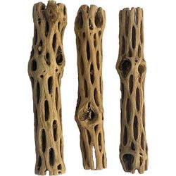 Cholla Wood, 3 Pack