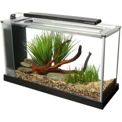 Fluval Spec V