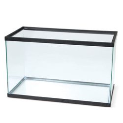 10 Gallon Glass Aquarium